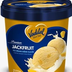 Vadilal Kaju Draksh Ice Cream (1 LTR)