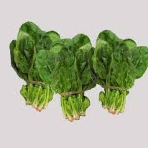 Baby Spinach - Bunch