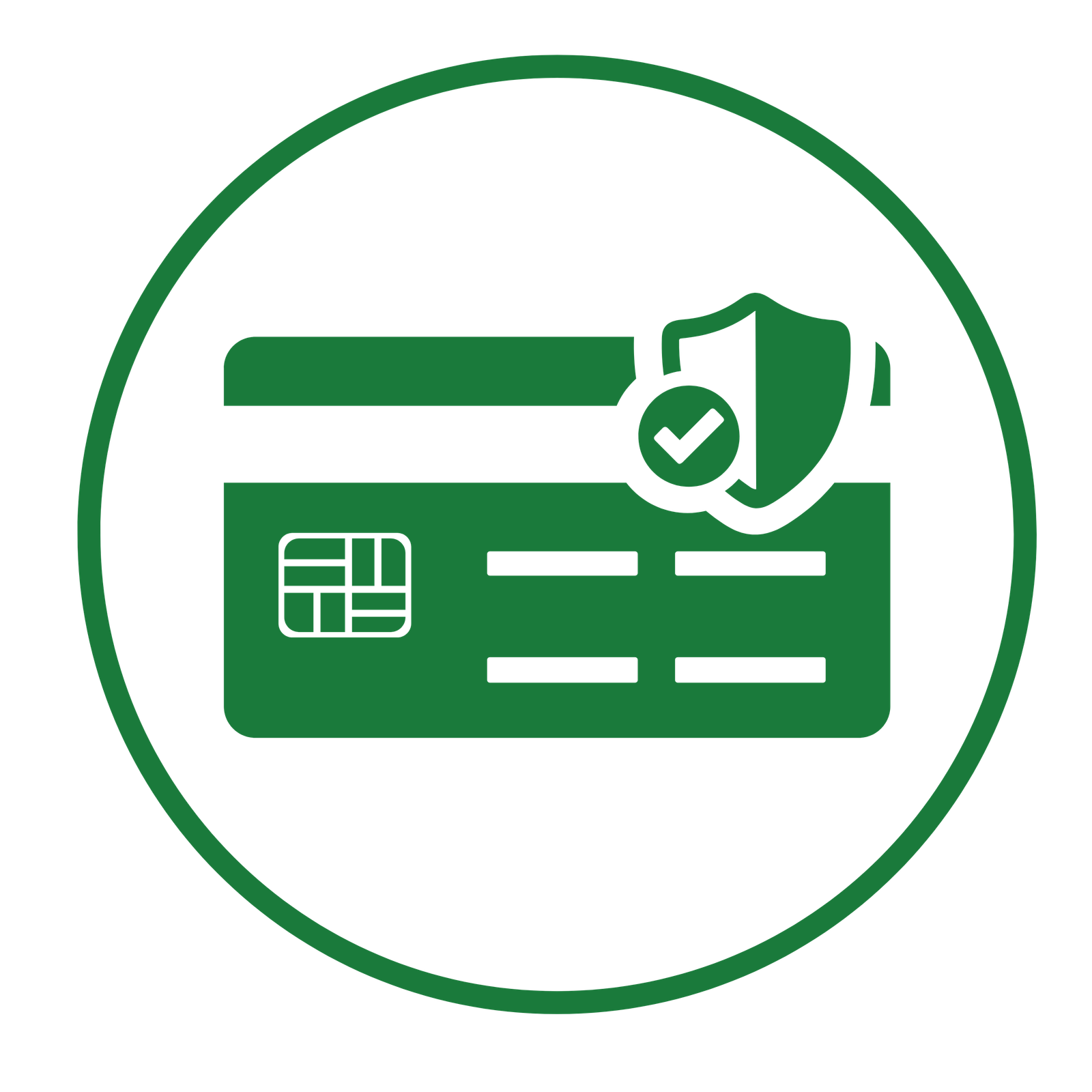 100% Secure Payment